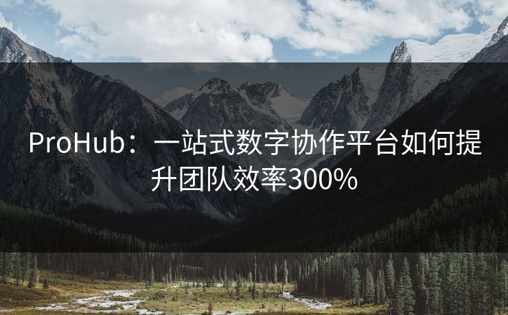 ProHub：一站式数字协作平台如何提升团队效率300%