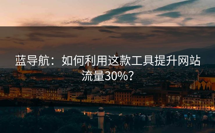 蓝导航：如何利用这款工具提升网站流量30%？
